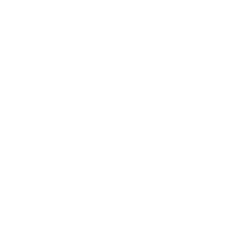 MetLife MetLife