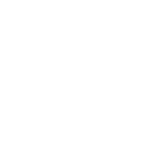 Travelers