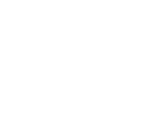 the-weikum-group-logo-reverse-rgb